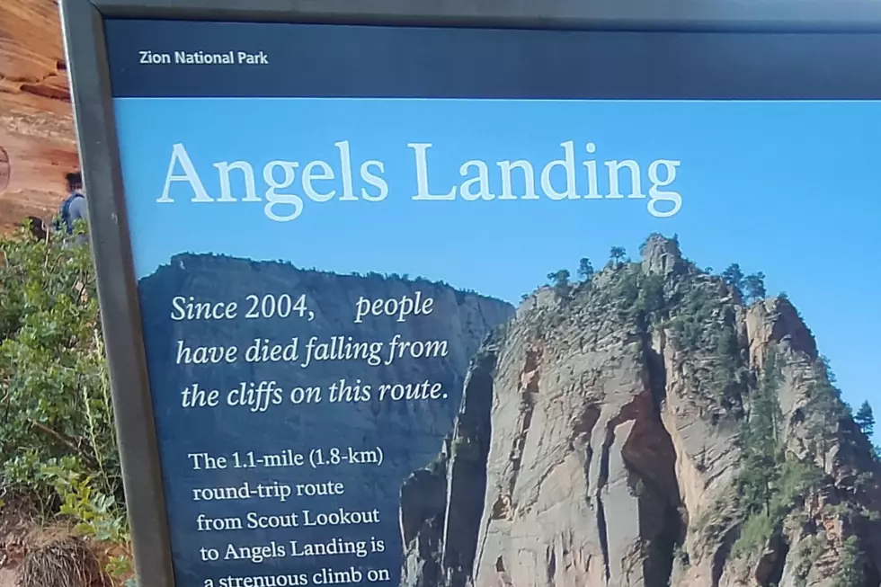 Angels Landing: Your Must-Do Lifetime Bucket List Hike