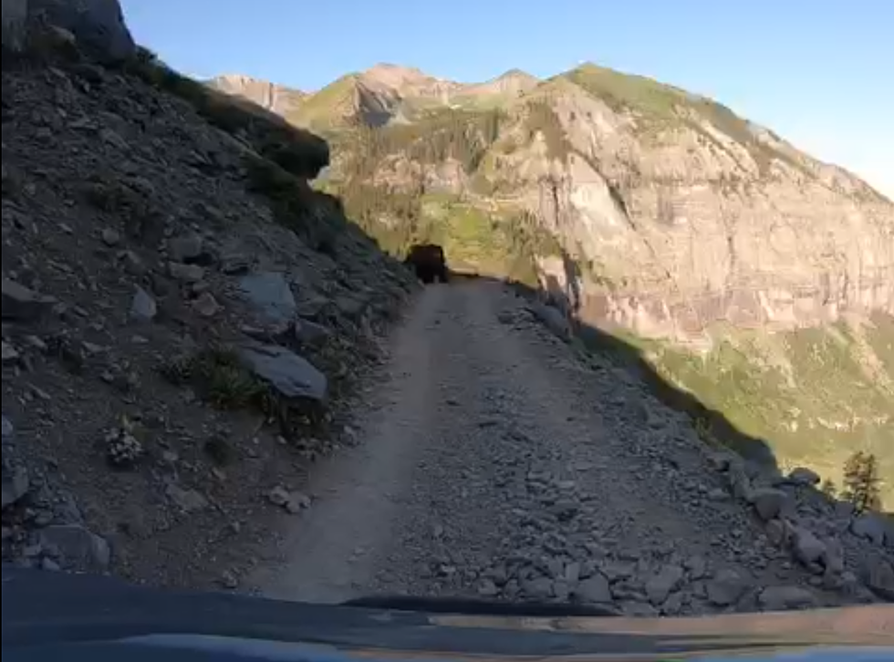 Further Evidence Black Bear Pass Not For Faint of Heart