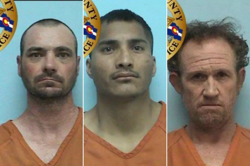 Montrose Most Wanted: Strangulation, Stalking, Child Abuse