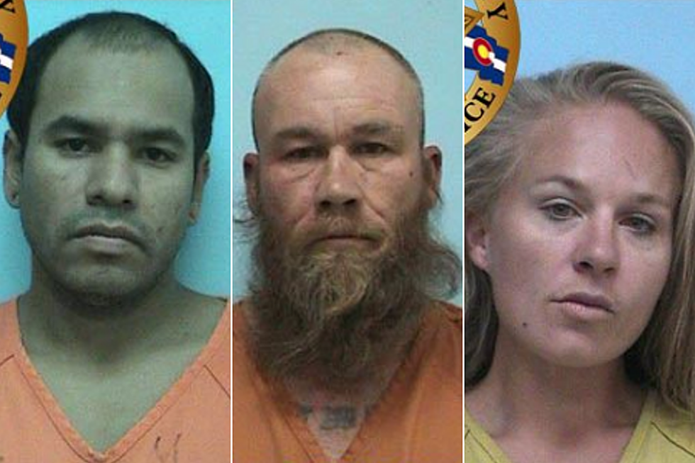 Montrose Most Wanted: Drugs, Theft, and Forgery