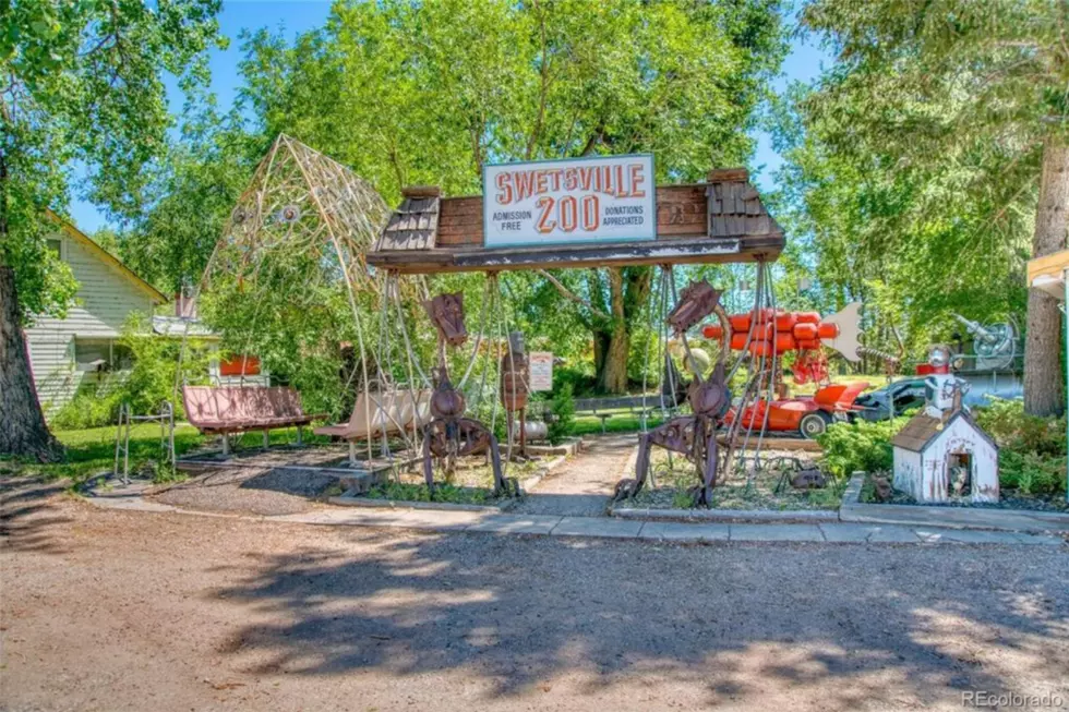 You Could Own Colorado’s Swetsville Zoo