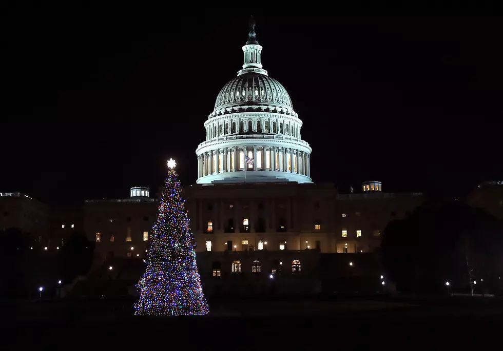 U.S. Capitol Christmas Tree Coming To Grand Junction