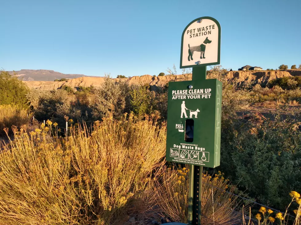 Dog Business on the Riverfront Trail Isn't Pretty