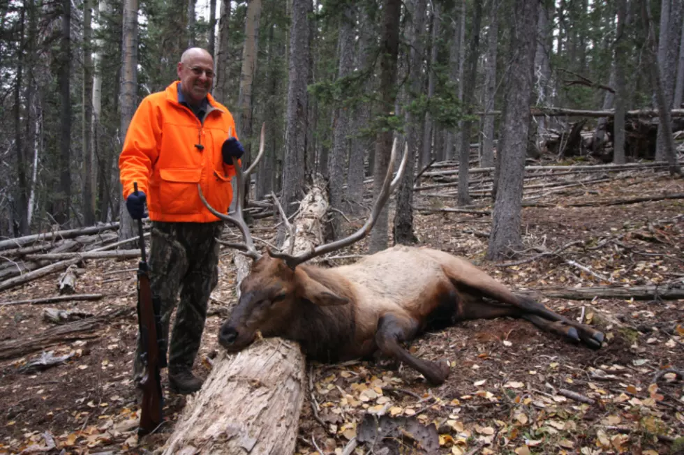 Colorado Hunters Affected By Wildfires Are Offered Refunds