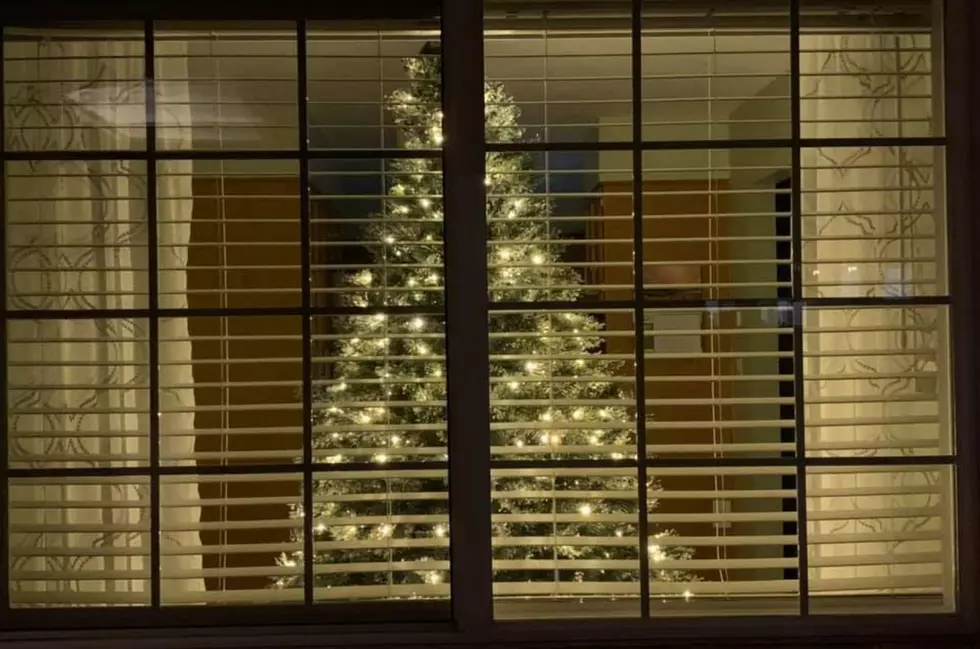 Grand Junction Couple Invites Community To Put Up Christmas Trees