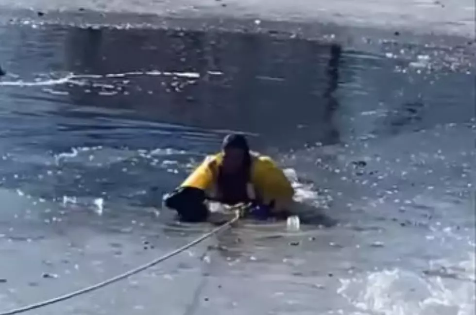 Firefighter Rescues Helpless Dog Trapped In Icy Pond