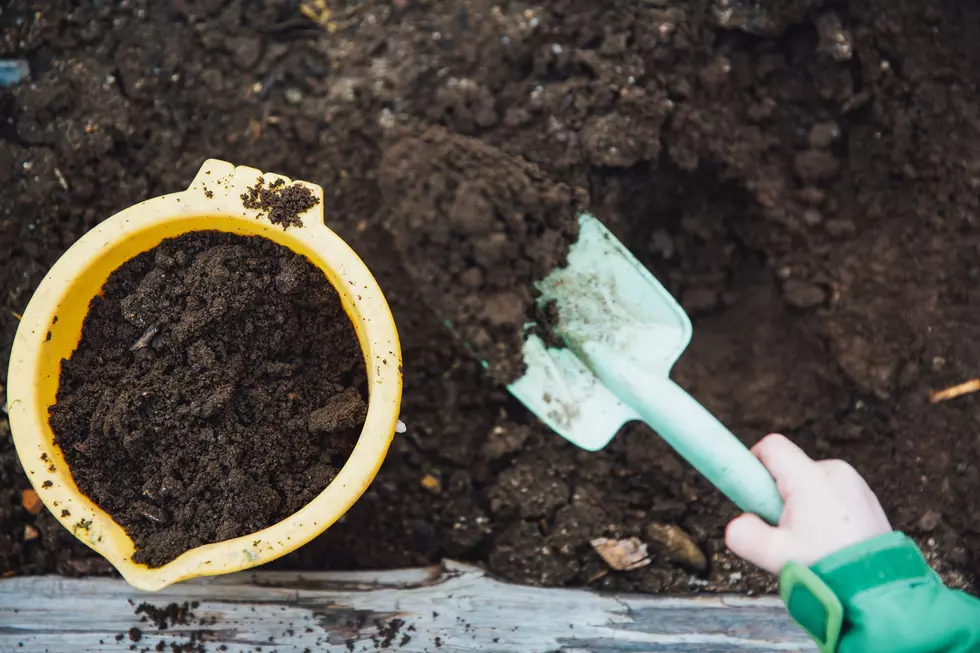 Colorado Legislature Considers Human Composting Bill