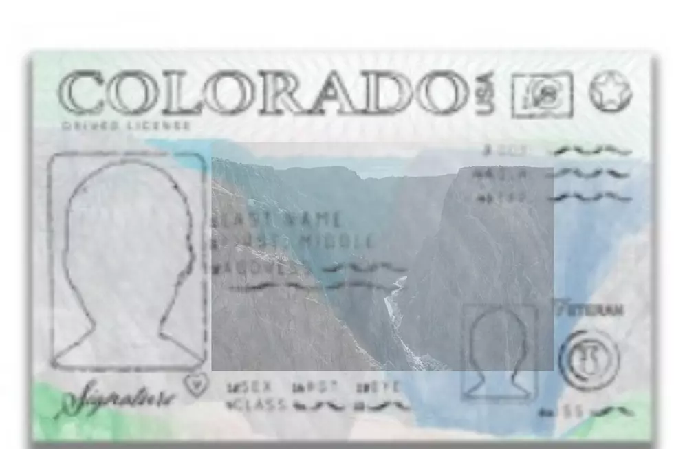 Vote For New Colorado Driver's License Design