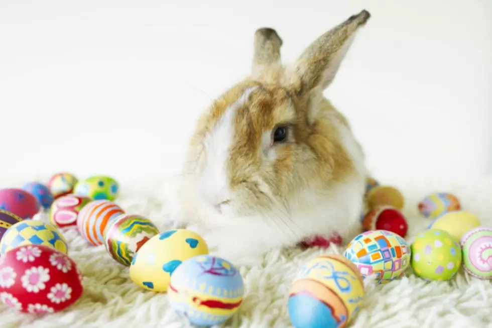 No Easter Bunny This Year at Mesa Mall In Grand Junction