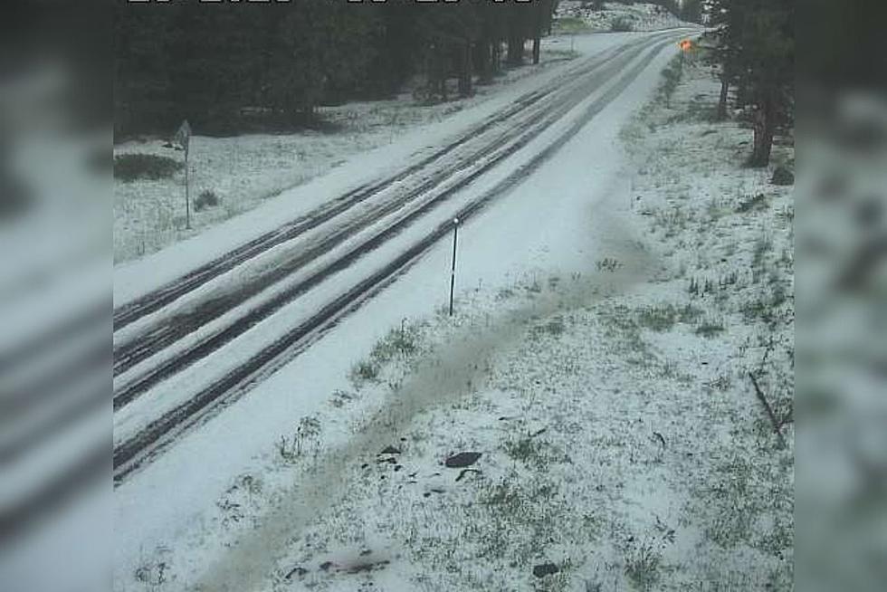 Monsoonal Moisture Brings White Covering To Grand Mesa