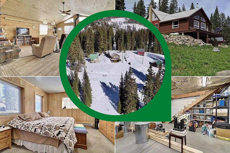 Live In This Picturesque Log Cabin On the Grand Mesa For Under $500K