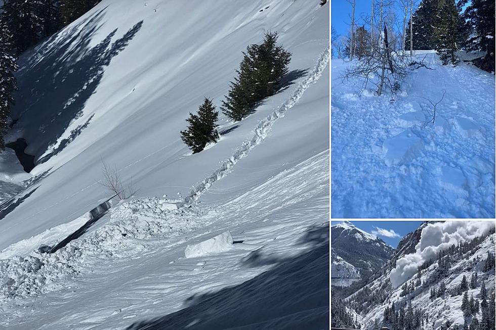 Snowshoer, Two Dogs Killed In Western Colorado Avalanche