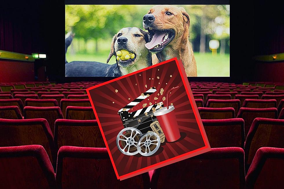 Bow Wow Film Festival Returns To Grand Junction