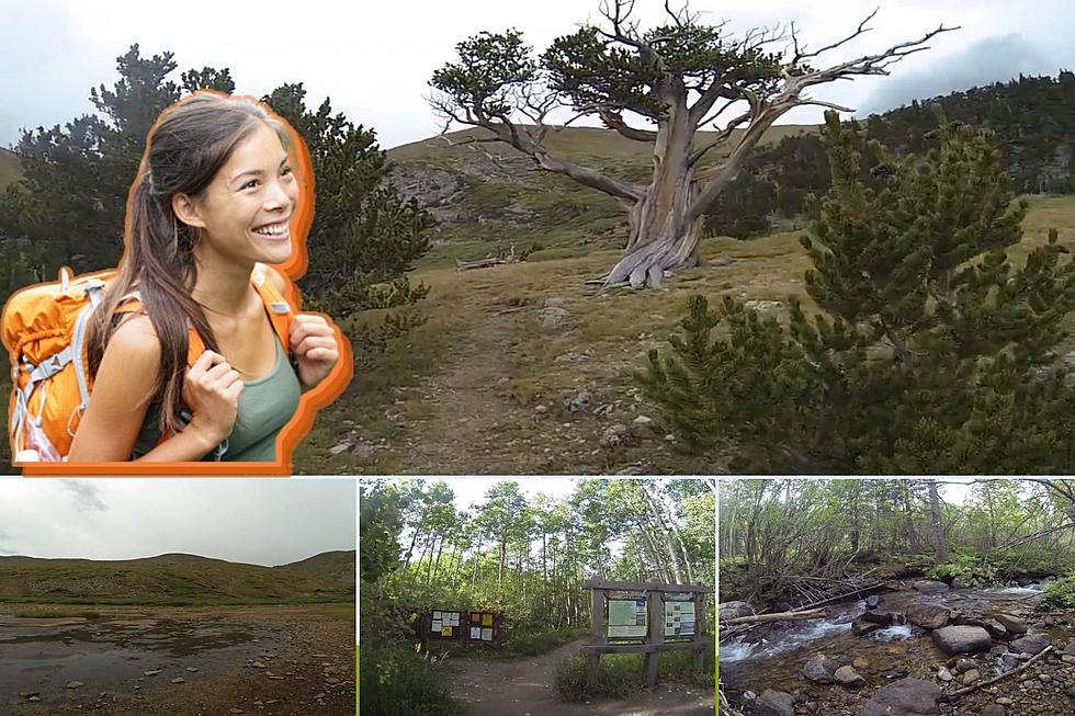 Enjoy the Climb: Scenic Colorado Hike Takes You Up To Hell&#8217;s Hole