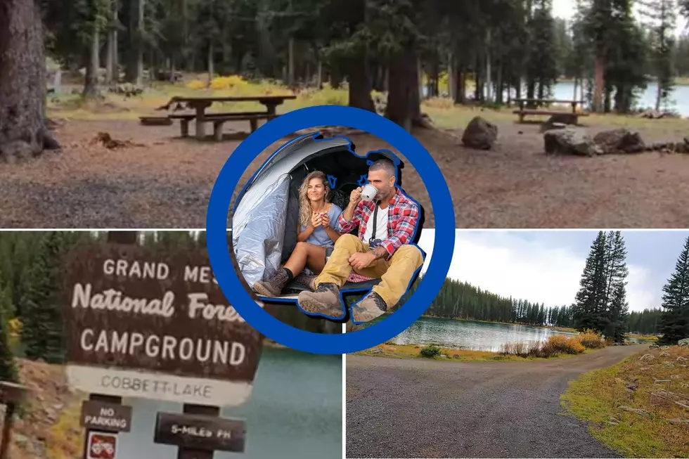Enjoy Lakeside  Camping At Grand Mesa’s Cobbett Campground
