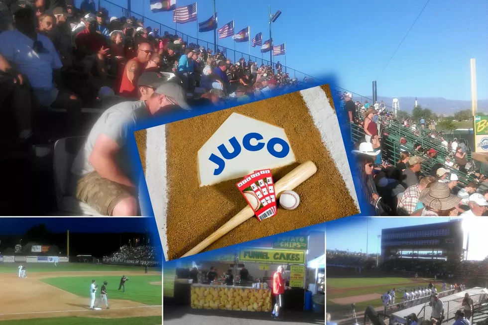 How Much Does It Cost to Attend the Junior College World Series In Grand Junction