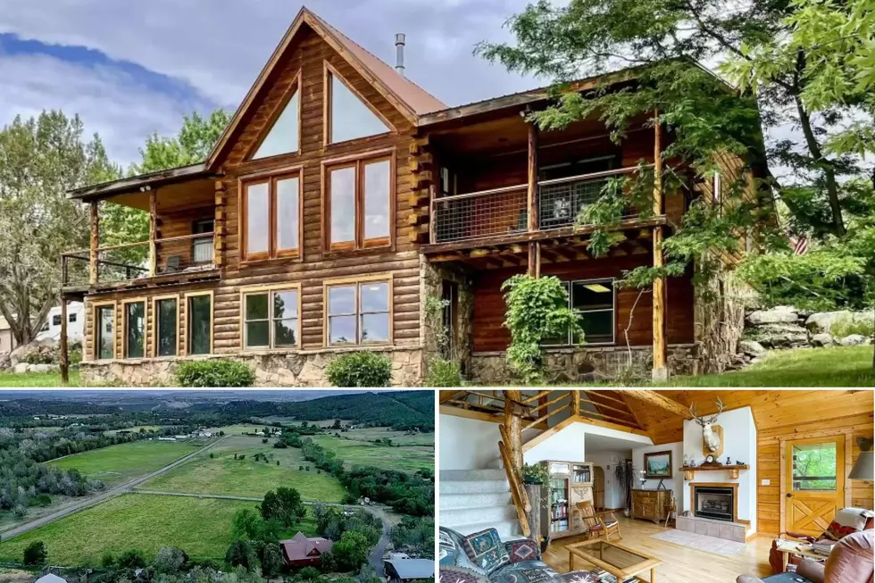 Gorgeous Cedaredge Log Home Comes With 16 Beautiful Acres