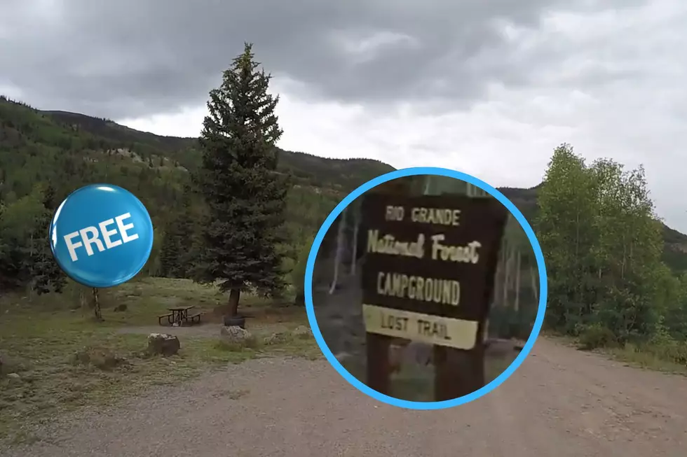 Enjoy Free Western Colorado Camping At Lost Trail Campground