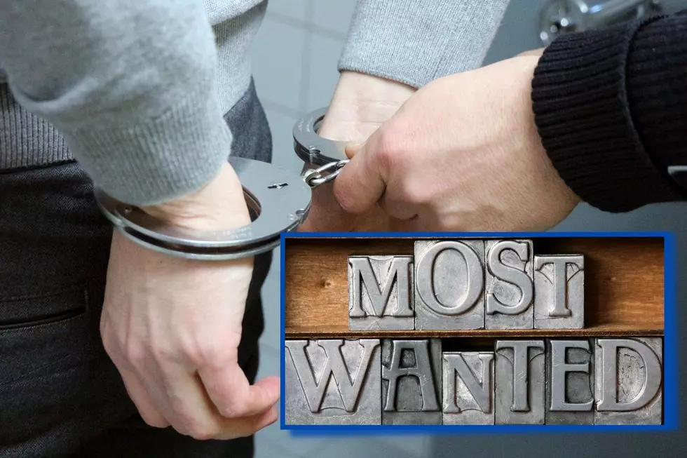 Montrose Most Wanted: Felony Trespassing and Domestic Violence