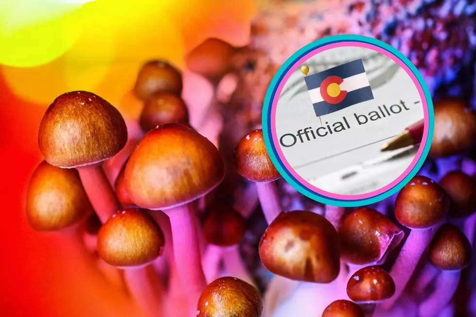 Magic Mushroom Measure Will Be On Colorado’s November Ballot