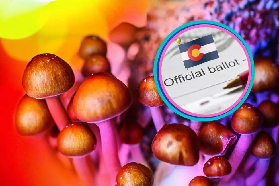 Magic Mushroom Measure Will Be On Colorado&#8217;s November Ballot