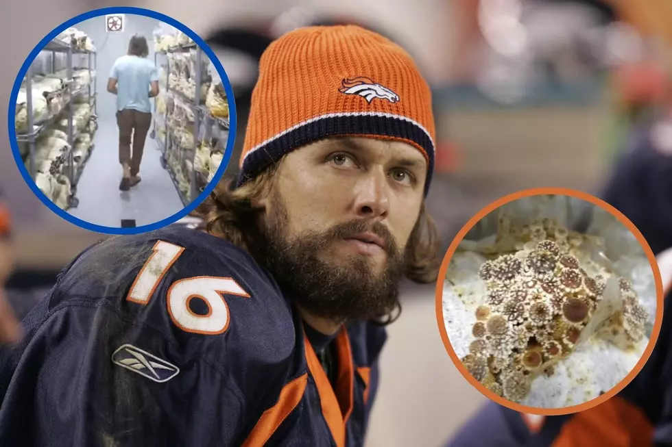 Former Broncos Quarterback Jake Plummer Is Now A Colorado Mushroom Farmer