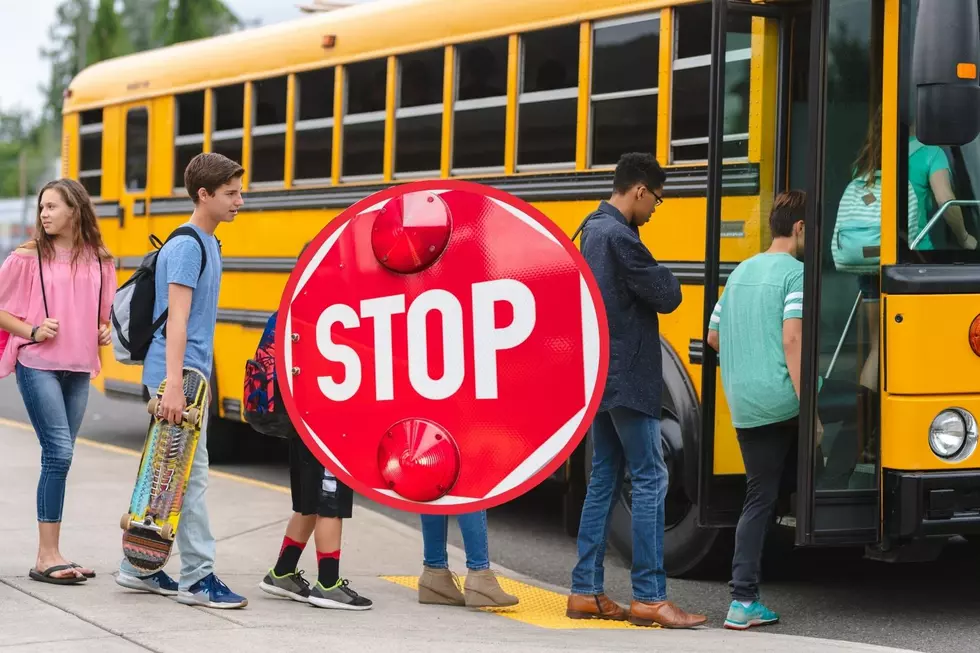 What You Need To Know About Passing A Stopped School Bus In Grand Junction