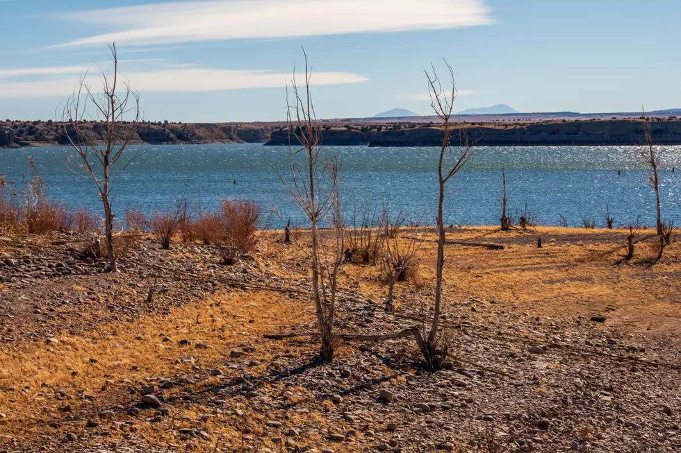 Kayaks Capsize In High Winds, Two People Die On Colorado Lake 