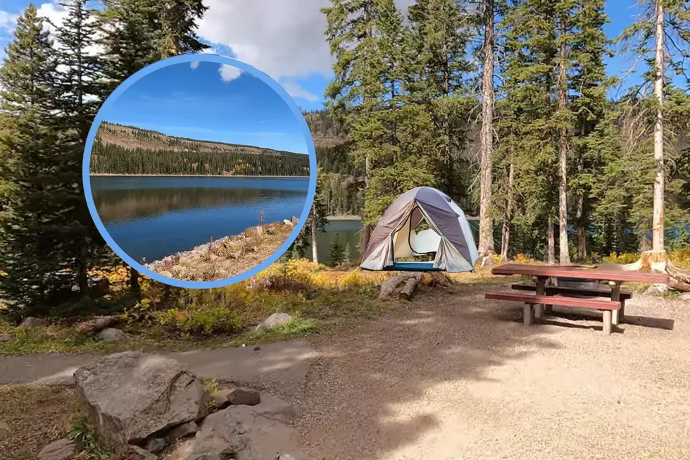 Exploring the Best Lakeside Campground On Colorado's Grand Mesa 
