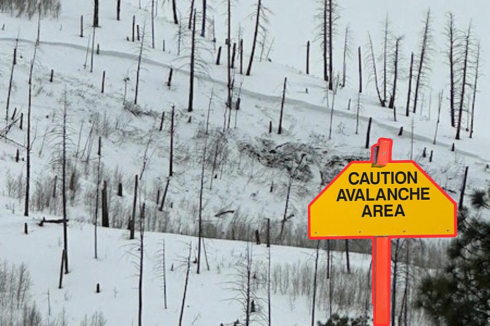 Two Skiers Caught and Killed In Southwest Colorado Avalanche