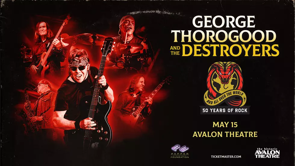 George Thorogood in concert.
