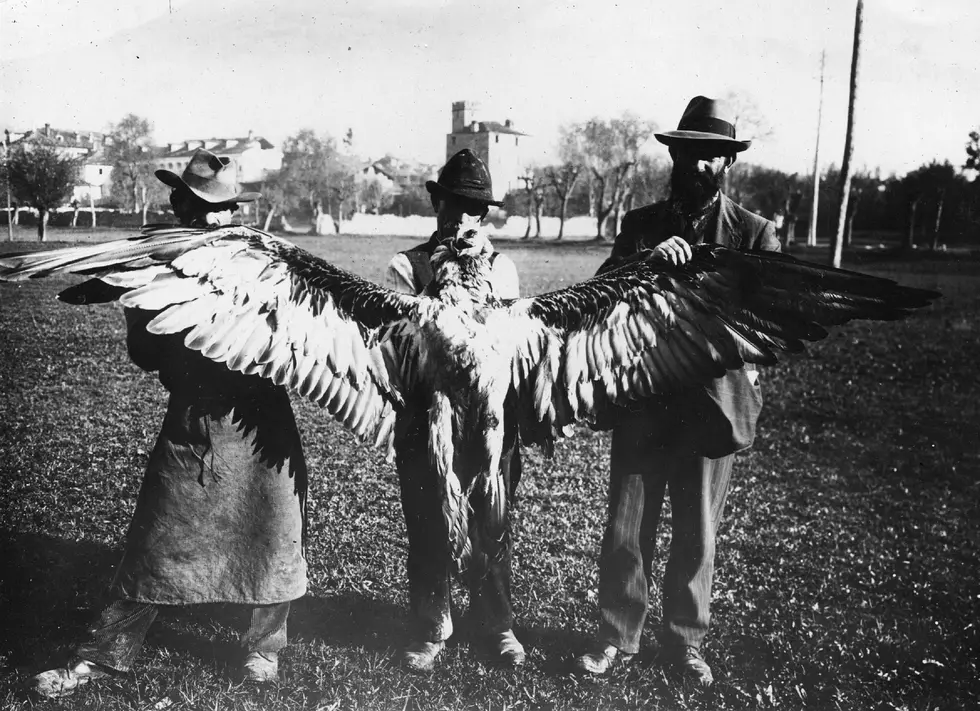 Telling the Epic Tale of Colorado&#8217;s Grand Mesa Thunderbirds