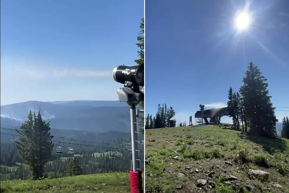 Steamboat Ski Resort Uses Snowmaking Guns to Soak Forest