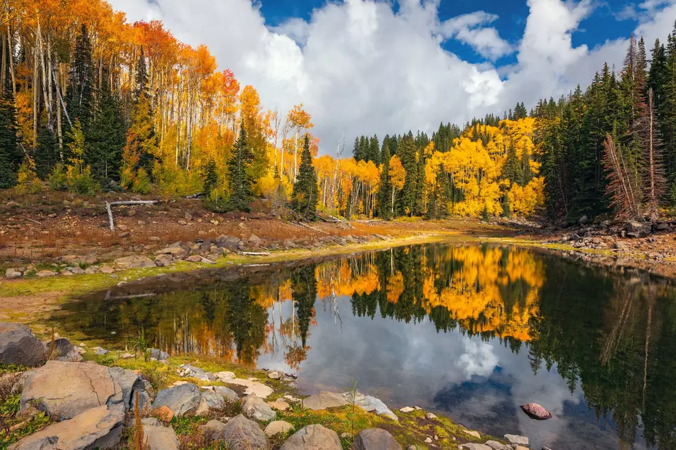 Why 2026’s Grand Mesa Color Window Will Be Shorter