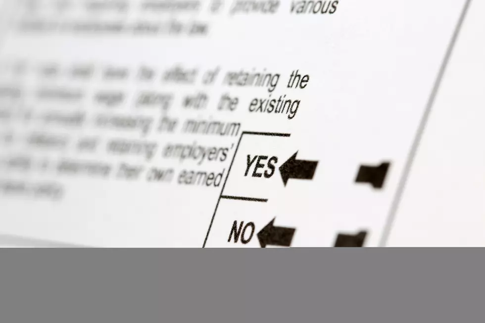 Colorado 2026 Ballot Guide: 14 Measures Explained