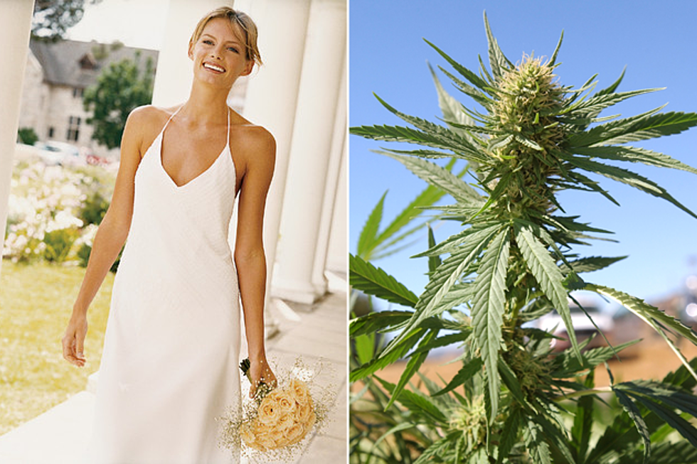 Marijuana Weddings May Become Reality in Colorado [POLL]