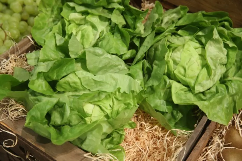 Japan&#8217;s Indoor Garden Grows 10,000 Heads of Lettuce a Day