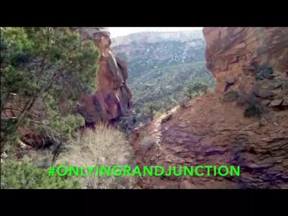 #OnlyInGrandJunction: LARPing +Teddy Bears And More [VIDEO]