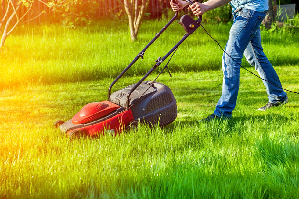 How To Make Grand Junction Lawnmower Accident-Free This Summer