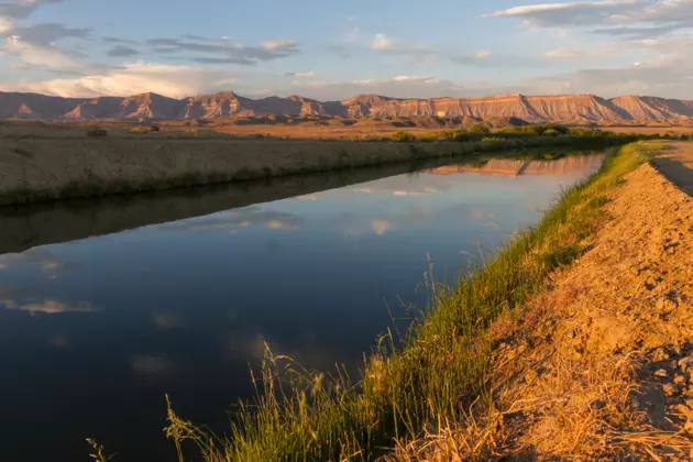5 Reasons You Should Make Grand Junction Your Summer Vacation