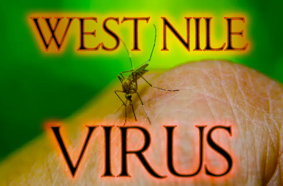 How To Avoid The Threat Of West Nile Virus In Grand Junction