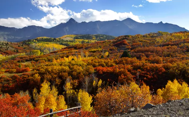 Colorado Fall Colors Drive: Dallas Divide