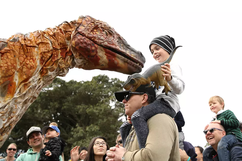 Three Reasons to Go to Dinosaur Day on June 9 in Fruita