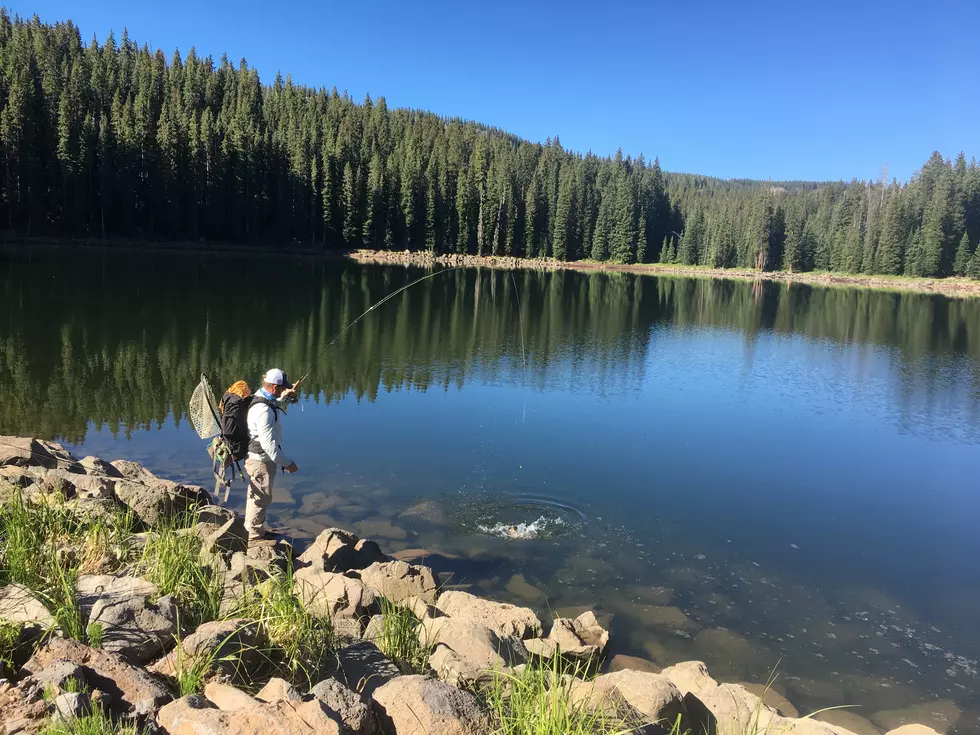 Grand Junction Spotlight: Tyler Morris from Western Angler’s