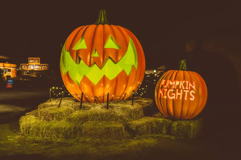 Pumpkin Nights Lights Up the Night In Colorado
