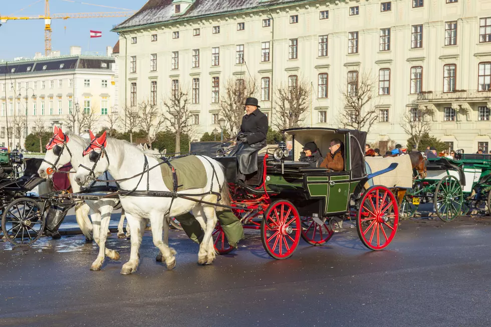 Free Carriage Rides in Downtown Grand Junction