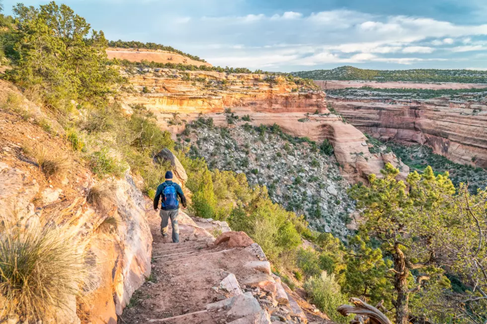 Father and Daughter Found Safe on Colorado National Monument