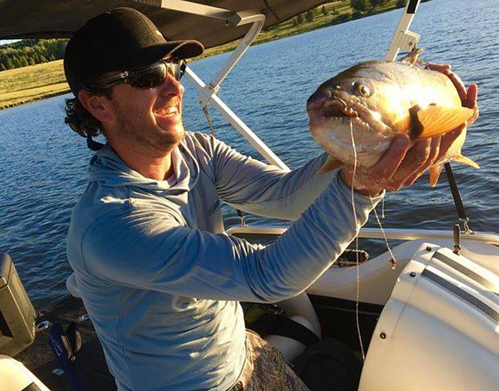 Colorado Fisherman Catches Ginormous Cutbow Trout