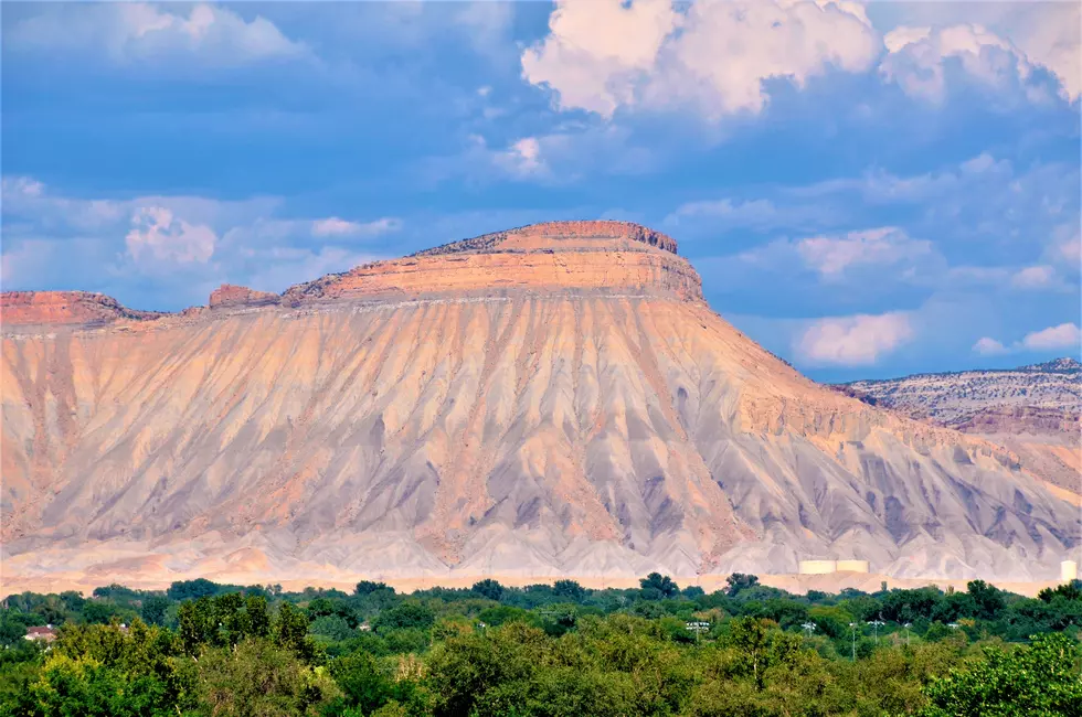 Grand Junction's Favorite Things About Grand Junction