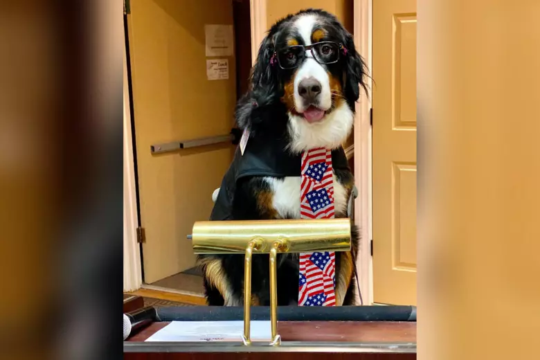 Parker the Snow Dog: Dog Sworn in As Mayor of Colorado Town